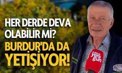 Her Derde Deva Olabilir mi? Burdur'da da Yetişiyor!