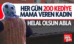 Her Gün 200 Kediye Mama Veren Kadın