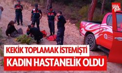 Kekik toplamak istemişti, kadın hastanelik oldu