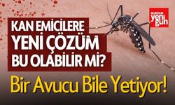 Kan Emicilere Yeni Çözüm Bu Olabilir mi?