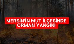 Mersin'de Orman Yangını! 100'den Fazla Personel Müdahale Etti