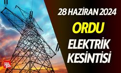 Ordu'da Hangi Mahallelerde Elektrik Kesilecek?