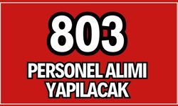 Diyanet İşleri 803 Kişiyi İşe Alacak