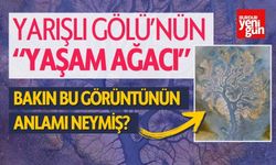 Yarışlı Gölü'nün "Yaşam Ağacı" Bakın Anlamı Neymiş?