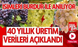 Burdur’un 40 Yıllık Üzüm Üretim Verileri Açıklandı