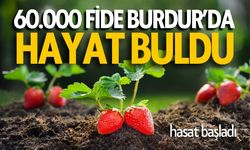 60.000 Fidan Burdur'da Hayat Buldu