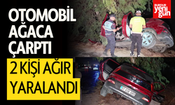 Otomobil ağaca çarptı, 2 kişi ağır yaralandı