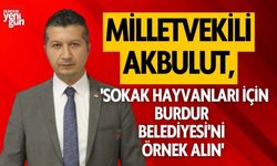 Milletvekili Akbulut: 'Sokak Hayvanları İçin Burdur Belediyesi'ni  Örnek Alın''