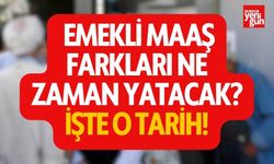 2024 Temmuz Emekli Maaş Farkları Ne Zaman Yatacak? İşte Tarih!