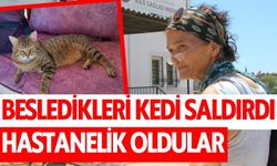 Besledikleri kedi saldırdı! 2 kadın hastanelik oldu