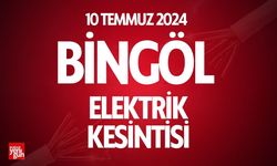 Bingöl'de 10 Temmuz elektrik kesintisi İşte etkilenecek yerler