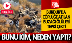 Burdur'da Çöplük Bölgesine Atılan Buzağı Ölüleri Tepki Çekti