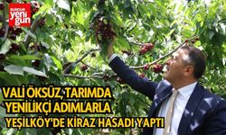 Vali Öksüz, Tarımda Yenilikçi Adımlarla: Yeşilköy'de Kiraz Hasadı Yaptı