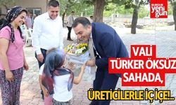 Vali Türker Öksüz sahada, Üreticilerle iç içe!..