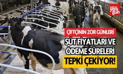 Çiftçinin Zor Günleri: Süt Fiyatları ve Ödeme Süreleri Tepki Çekiyor