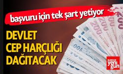 Devletten Her Ay 1.500 TL Cep Harçlığı! Şartlar Neler?