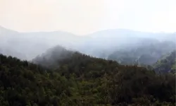 Kastamonu Orman Yangını Kontrol Altında mı? Yangın Söndürüldü mü?