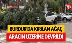 Burdur'da fırtınada kırılan ağaç aracın üzerine devrildi