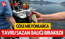 Göle milyonlarca yavru sazan balığı bırakıldı