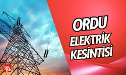 Ordu’da 9 Temmuz 2024 Tarihinde Elektrik Kesintisi Yaşanacak