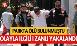 Parkta bir kişinin ölümüne ilişkin 1 zanlı yakalandı