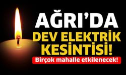 3 Ağustos'ta Ağrı'da Elektrik Kesintisi: Hangi Mahalleler Etkilenecek?