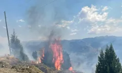 Alanya'da Korkutan Yangın: Ormana Sıçramadan Söndürüldü!