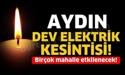 Bu İlçeler Aydın'da Elektriksiz Kalacak! Kesinti Saatleri Açıklandı