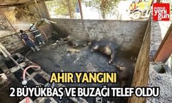 Ahır Yangını: 2 Büyükbaş ve Buzağı Telef Oldu