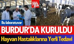 Bu Laboratuvar Burdur'da Kuruldu! Hayvan Hastalıklarına Yerli Tedavi