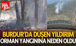 Burdur'da düşen yıldırım yangına neden oldu