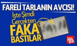 Fareli Tarlanın Avcısı! İşte Şimdi Gerçekten Faka Bastılar