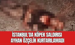 İstanbul'da Köpek Saldırısı: Zihinsel Engelli Ayhan Özçelik Kurtarılamadı