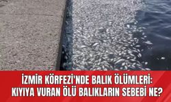 İzmir Körfezi'nde Balık Ölümleri: Kıyıya Vuran Ölü Balıkların Sebebi Ne?