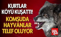 Kurtlar Köyü Kuşattı! Komşuda Hayvanlar Telef Oluyor