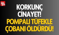 Korkunç cinayet! Pompalı tüfekle çobanı öldürdü