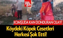 Komşuda Kan Donduran Olay! Köydeki Köpek Cesetleri Herkesi Şok Etti!