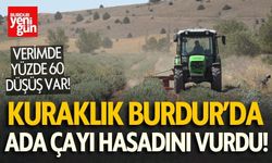 Kuraklık Burdur'da Ada Çayı Hasadını Vurdu