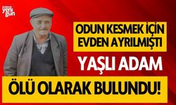 Yaşlı adam ormanlık alanda ölü bulundu