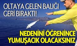 Oltaya Gelen Balığı Geri Bıraktı! Nedenini Öğrenince Yumuşacık Olacaksınız