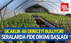 Sıcaklık 48 Dereceyi Buluyor! Seralarda Fide Dikimi Mesaisi Başladı