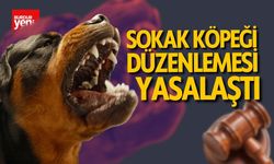 Sokak Hayvanları Düzenlemesi Yasalaştı