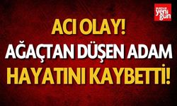 Acı olay! Ağaçtan düşen adam hayatını kaybetti!