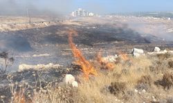 Mersin'de otluk alanda çıkan yangın söndürüldü