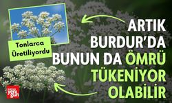 Burdur Ticaret Borsası’ndan Anason Üretiminde Korkutan Düşüş