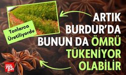 Burdur Ticaret Borsası’ndan Anason Üretiminde Korkutan Düşüş