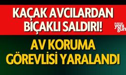 Kaçak Avcılardan Bıçaklı Saldırı: Av Koruma Görevlisi Yaralandı