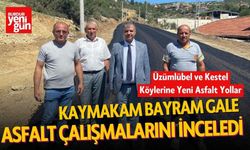 Kaymakam Gale, Üzümlübel'de Asfalt Çalışmalarını İnceledi