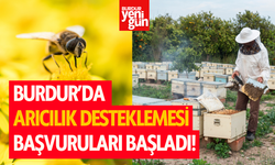 Burdur'da Arıcılık Desteklemesi Başvuruları Başladı!