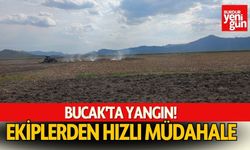 Bucak'ta Yangın! Ekiplerden Hızlı Müdahale